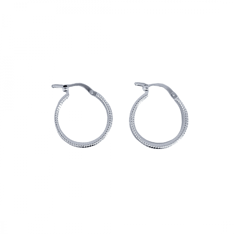 Curabitur cursus dignis