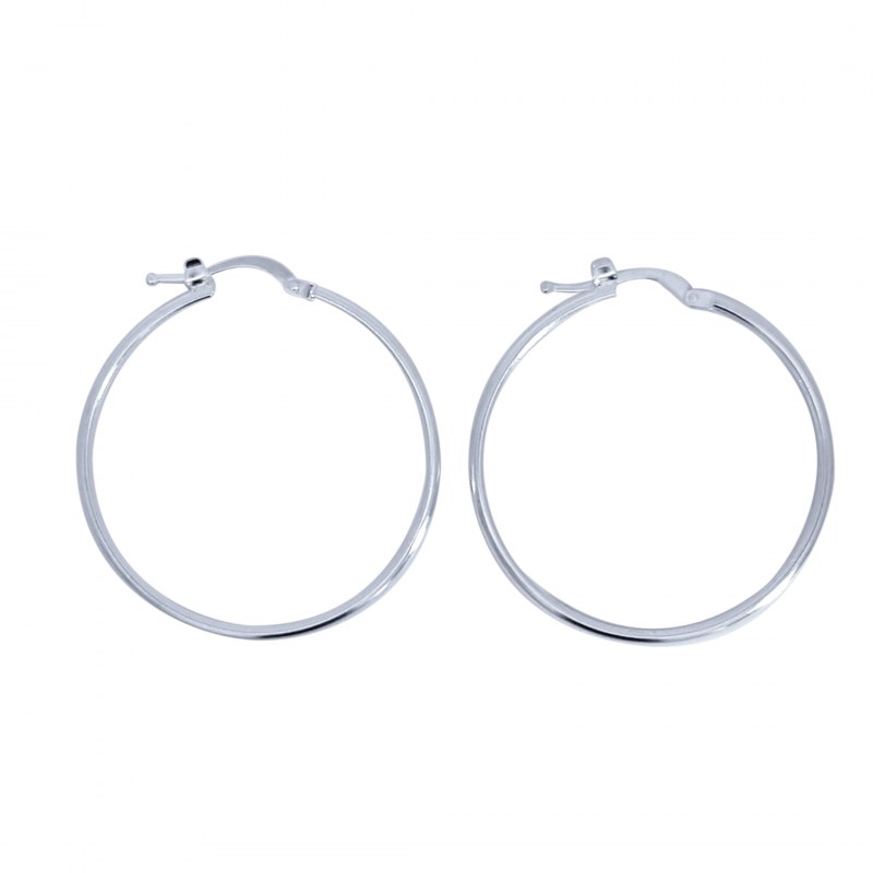 Curabitur cursus dignis