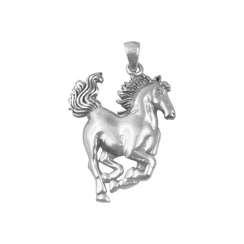 Curabitur cursus dignis